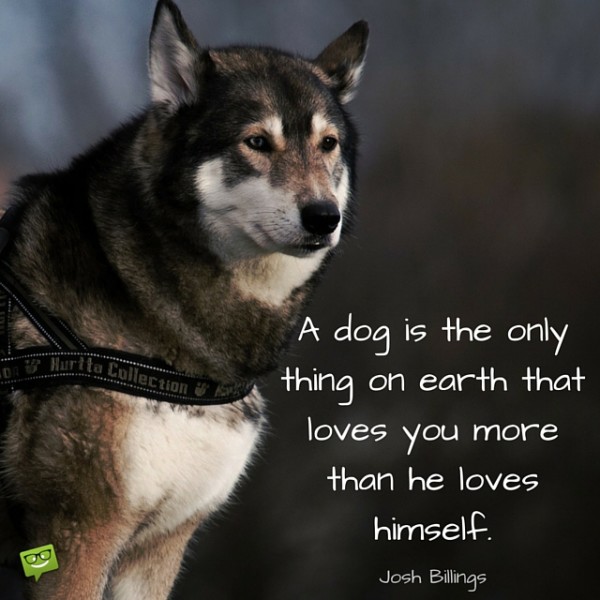 A-dog-is-the-only-thing-on-earth-that-loves-you-more-than-he-loves-himself.-600x600