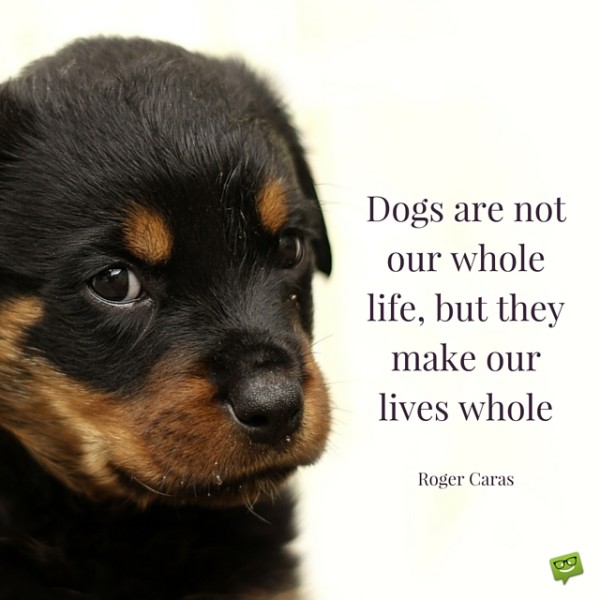 Dogs-are-not-our-whole-life-but-they-make-our-lives-whole-600x600