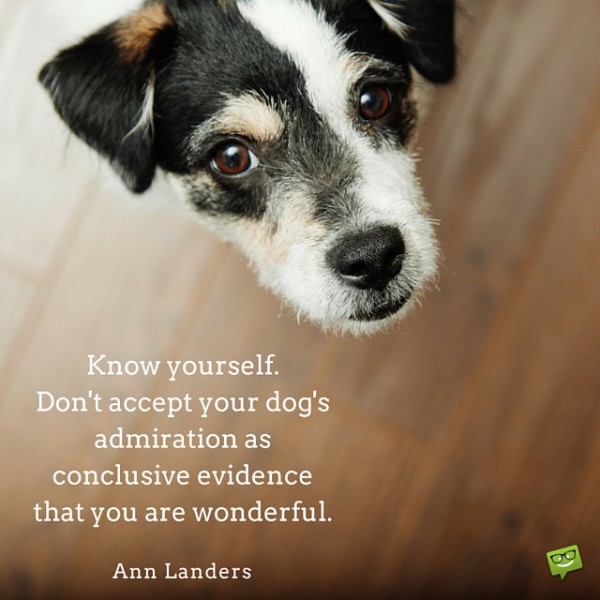 Know-yourself.-Dont-accept-your-dogs-admiration-as-conclusive-evidence-that-you-are-wonderful.-600x600