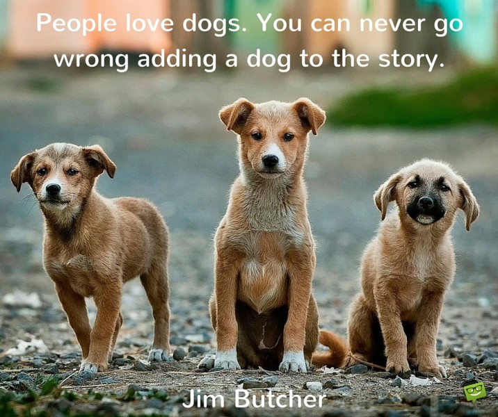 People-love-dogs.-You-can-never-go-wrong-adding-a-dog-to-the-story.-716x600