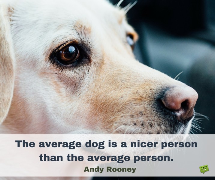 The-average-dog-is-a-nicer-person-than-the-average-person.-716x600