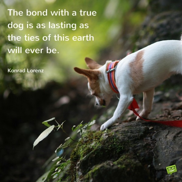 The-bond-with-a-true-dog-is-as-lasting-as-the-ties-of-this-earth-will-ever-be.-600x600