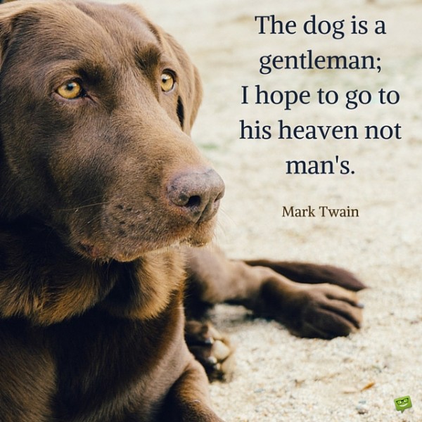 The-dog-is-a-gentleman-I-hope-to-go-to-his-heaven-not-mans.-600x600